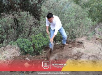Se sigue realizando la Jornada de Reforestación y limpieza en «el ojo de Agua» en Palmarito Tochapan.