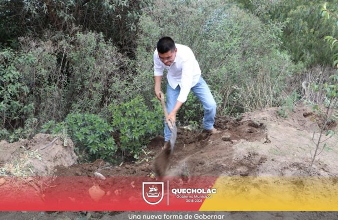 Se sigue realizando la Jornada de Reforestación y limpieza en «el ojo de Agua» en Palmarito Tochapan.