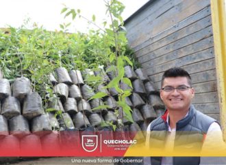 José Alejandro Martínez Fuentes sigue reforestando «el ojo de Agua» en Palmarito Tochapan.