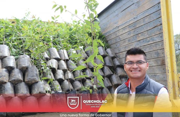 José Alejandro Martínez Fuentes sigue reforestando «el ojo de Agua» en Palmarito Tochapan.