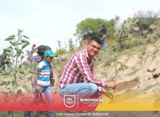 José Alejandro Martínez Fuentes Reforesta «la cruz blanca» en Palmarito Tochapan.