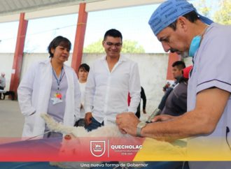 José Alejandro Martínez Fuentes organizo la Jornada de Esterilización Canina y Felina en Palmarito Tochapan.