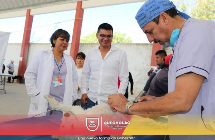 José Alejandro Martínez Fuentes organizo la Jornada de Esterilización Canina y Felina en Palmarito Tochapan.