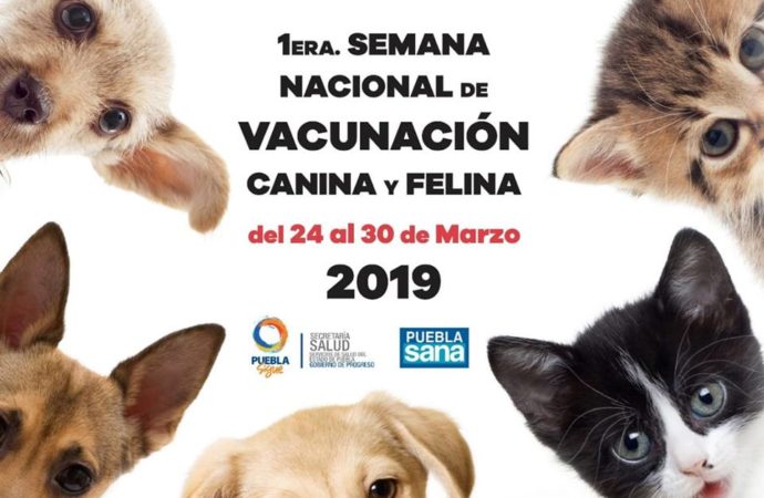 1ra Semana Nacional de Vacunación Canina y Felina