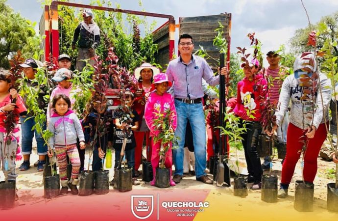José Alejandro Martínez Fuentes se suma a la reforestación en el «Ojo de Agua» con Habitantes de la Comunidad