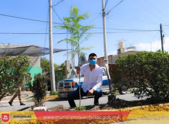 José Alejandro Martínez Fuentes reforesta Boulevard con jacarandás.