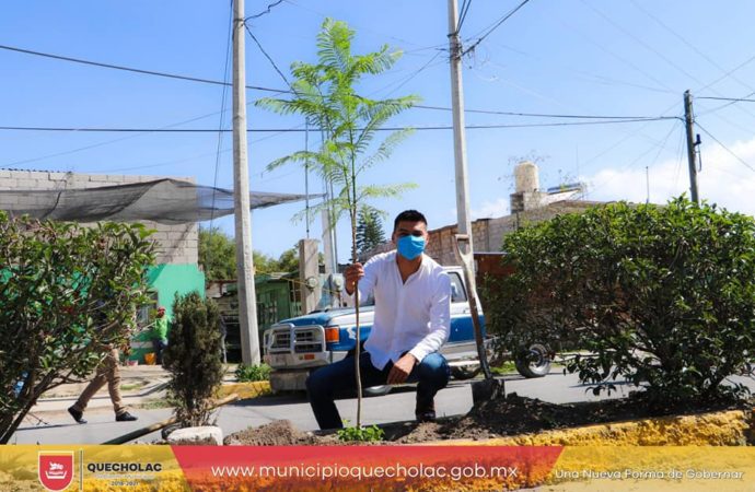 José Alejandro Martínez Fuentes reforesta Boulevard con jacarandás.
