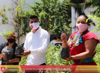 José Alejandro Martínez Fuentes hizo entrega de árboles a la ciudadanía dentro del Municipio.