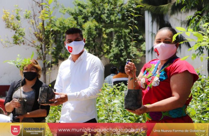 José Alejandro Martínez Fuentes hizo entrega de árboles a la ciudadanía dentro del Municipio.